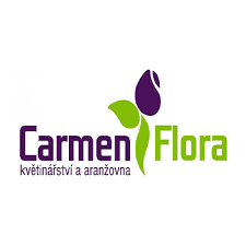 CARMEN TEAM, s.r.o.
